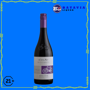 Cono Sur Bicicleta Pinot Noir 750ml